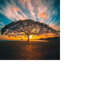 Momshie Gie profile icon