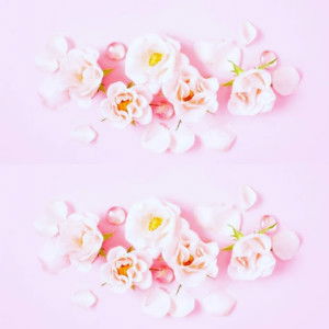 Nur Tya profile icon