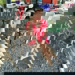 Maneewan Mala profile icon