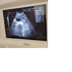 arina rismayani profile icon