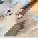 Hasriany profile icon