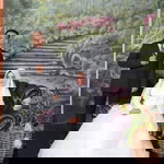 Desta Ayuni profile icon