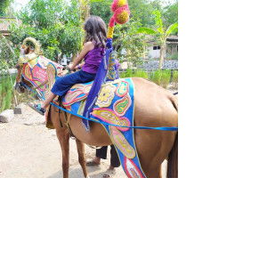 Siti Nurani profile icon