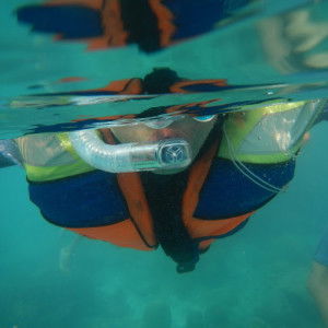 yelly fitriyani profile icon