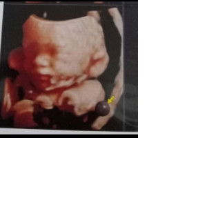 intan kartika profile icon