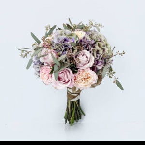 Shendy Marlina profile icon