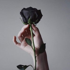 Bee Jean Tagnob profile icon