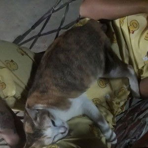 ยิ้ม' นาโน๊ะ profile icon