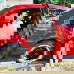 El Robert profile icon