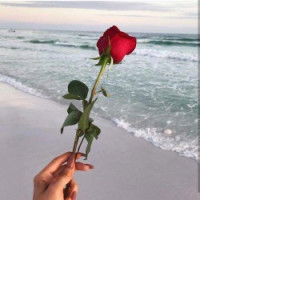 AdellaZahra profile icon