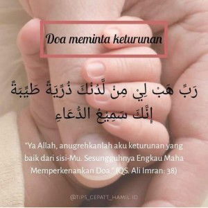 Ina Itayifa profile icon