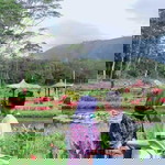 Lutfiah profile icon