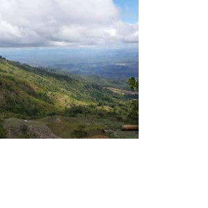 Chapter profile icon