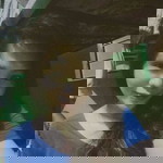 Jenny Mae Torrion profile icon