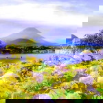 Vira Yelistiana profile icon