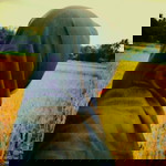 Lisna Septiani profile icon