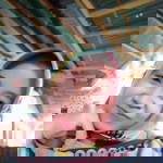 Nofi Ariyani profile icon