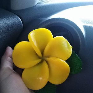 Nur Irdina profile icon