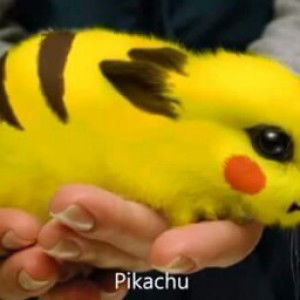 agoenkbanyu biru profile icon