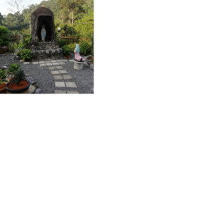 Ande Sanuh profile icon