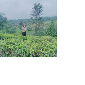 Widya Ningsih profile icon