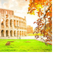 นัท โดนัท profile icon