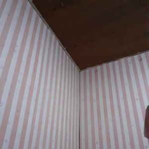 Joy David profile icon