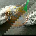 ไอติมกะทิสด พญาหมู profile icon