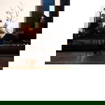 butlol profile icon