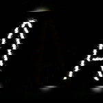 Afnan Nikaree profile icon