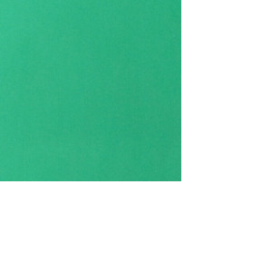 roisatu ha profile icon