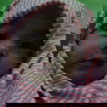 Rkha Ramadhan Maniez profile icon