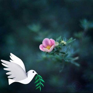 Yayah Khaeriyah profile icon