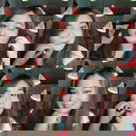 Iane Danica profile icon