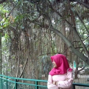 Rani Anggraeni profile icon