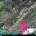 Rani Anggraeni profile icon