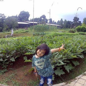 Winda Herlina profile icon