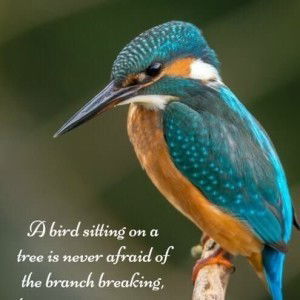 Cema Salanga profile icon