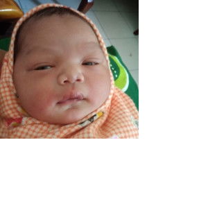 Rokhmah Nasution profile icon