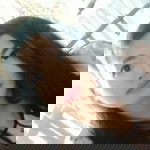 mary grace limbo profile icon