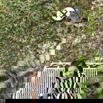 เอ็น จอย profile icon