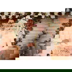 Anjani Nur Pratiwi profile icon