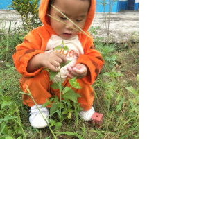 BabyGroot profile icon