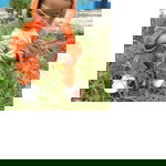 BabyGroot profile icon