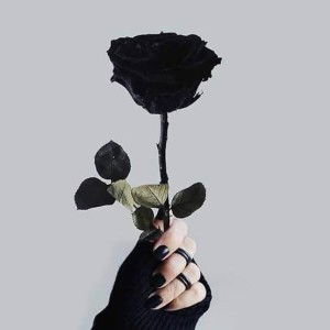 ทะเล สีดำ profile icon