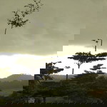 Ariska Damayanti profile icon