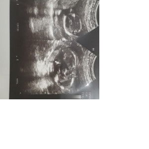 Bunda Ayu profile icon