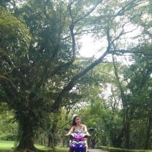 Anally Layson Alfaro profile icon