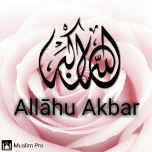 may maryani profile icon