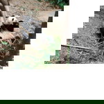 Lunar 8pe profile icon